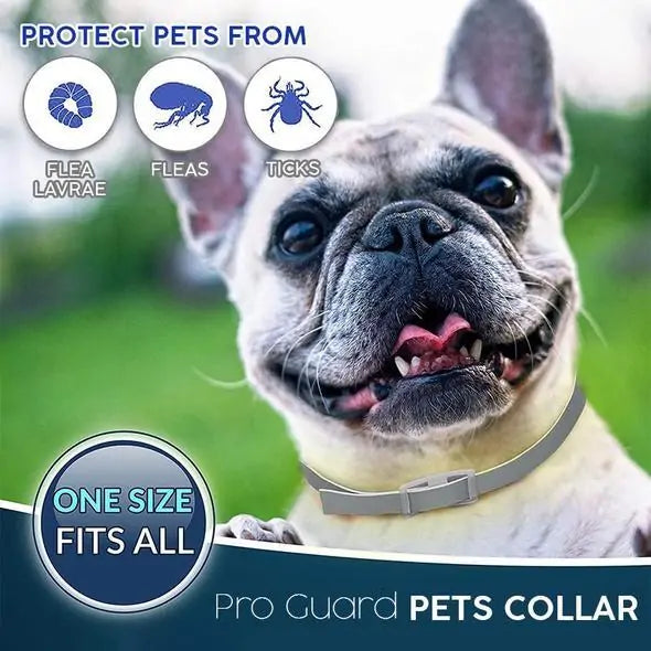 Pro Guard Flea and Tick Pet Collar (BUY 2 GET 1 FREE)