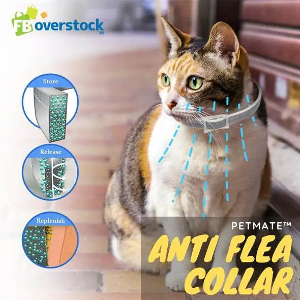 Petmate Anti Flea and Tick Collar - Small to Medium Dog (BUY 2 GET 1 FREE)